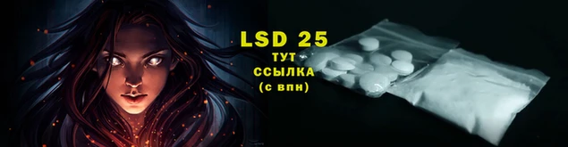 кокаин премиум Гусев