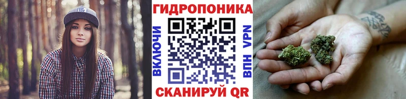 Бошки Шишки семена  как найти   нарко площадка клад  Мантурово 